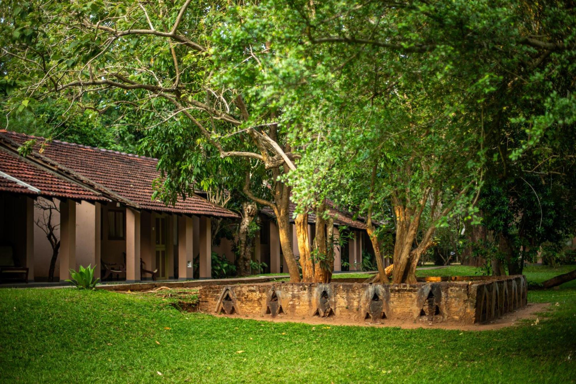 Sigiriya Village Esterno foto