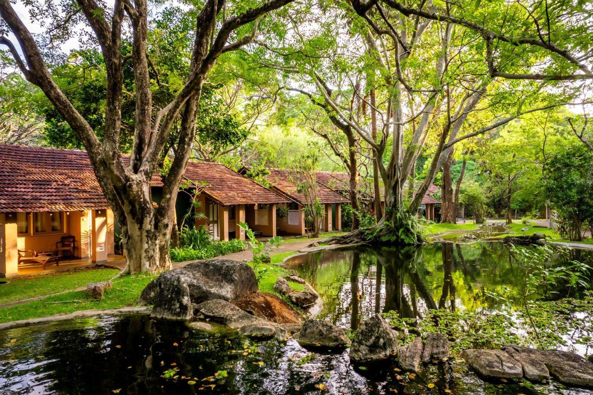 Sigiriya Village Esterno foto