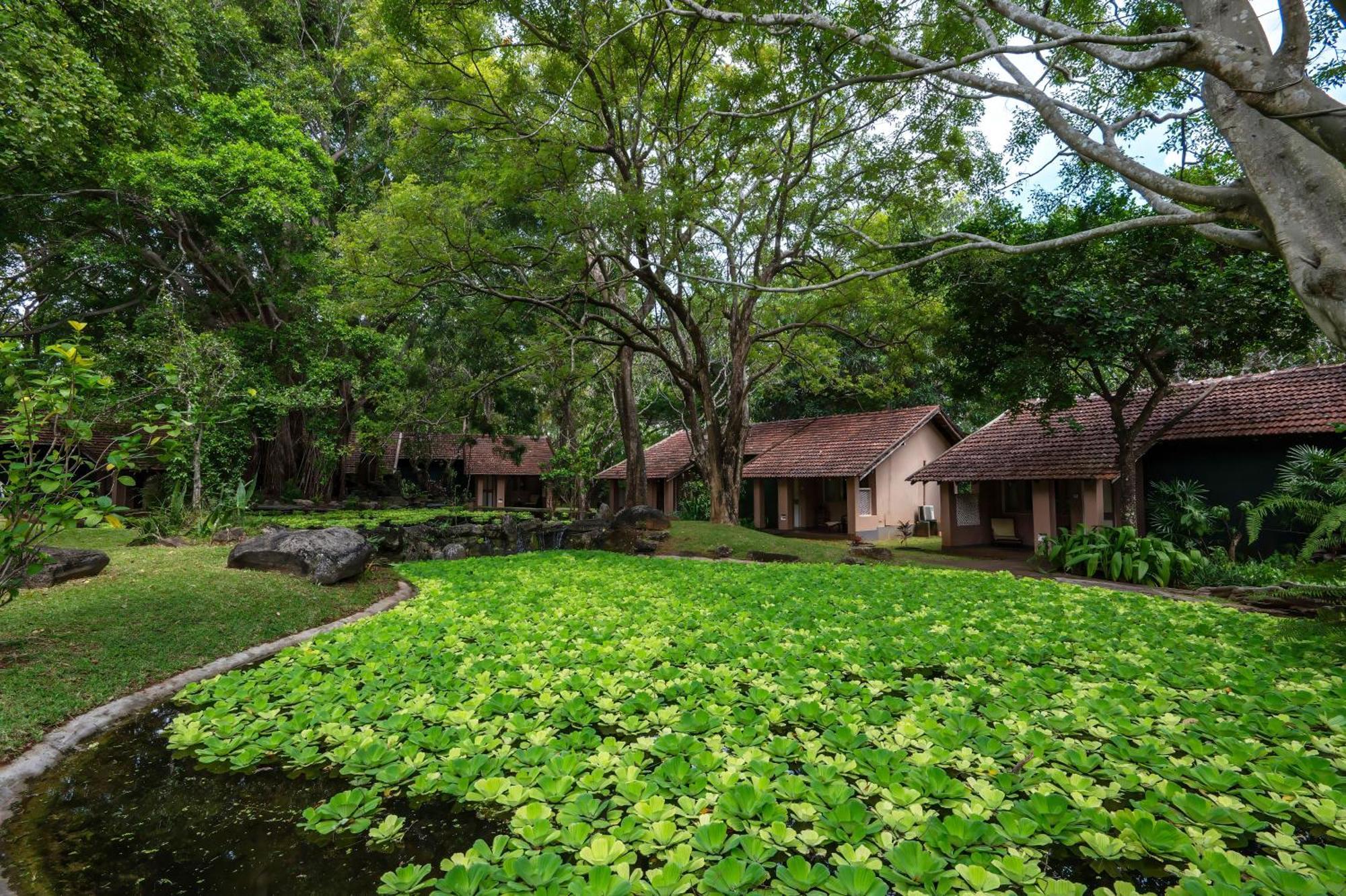 Sigiriya Village Esterno foto