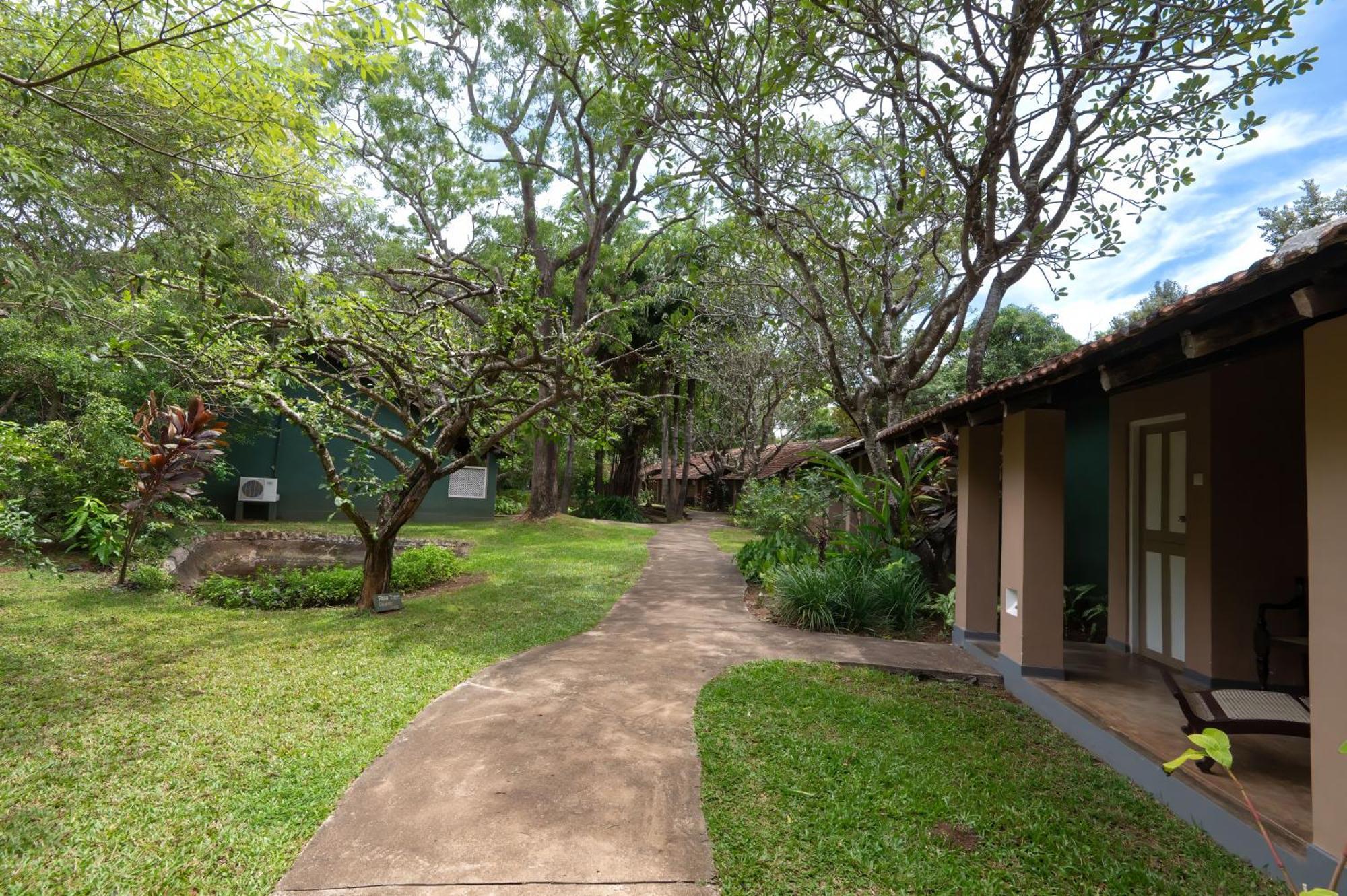 Sigiriya Village Esterno foto