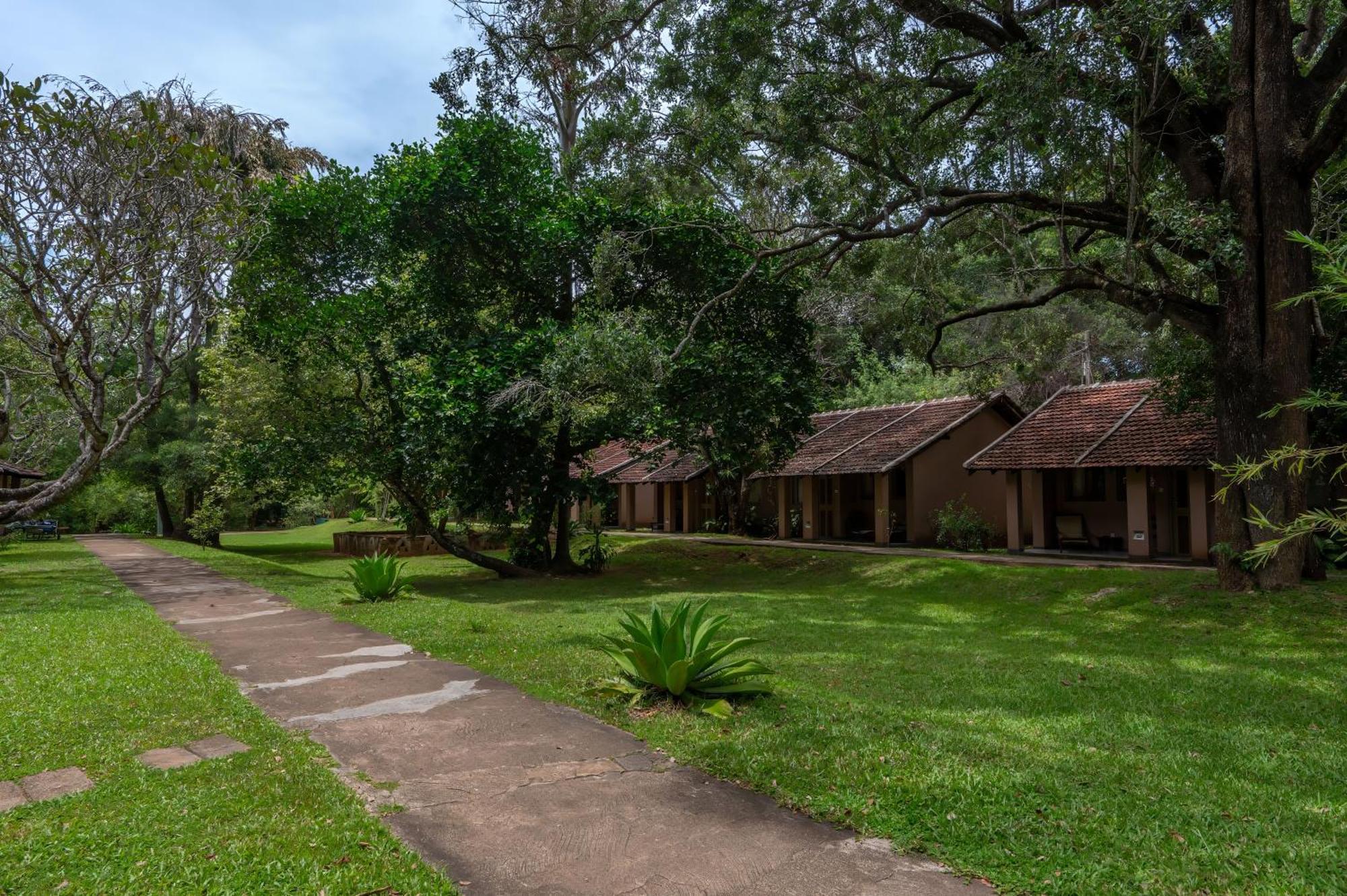 Sigiriya Village Esterno foto