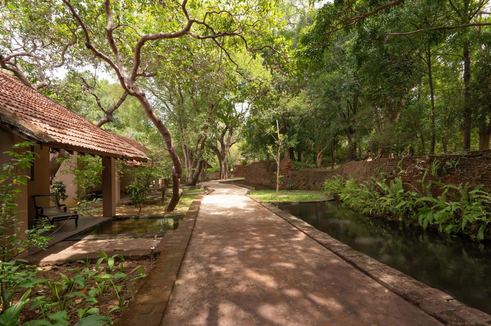 Sigiriya Village Esterno foto